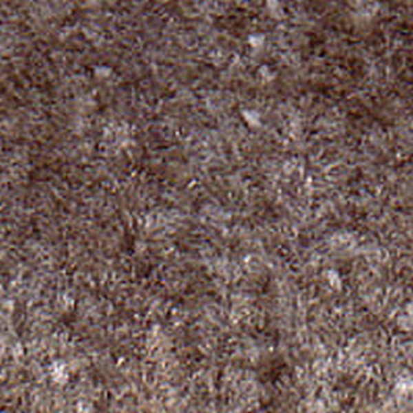Mq395b Mild Beige - OEM Cloth