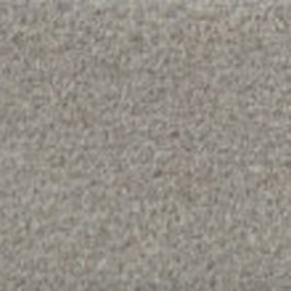G244a Tinted Grey - OEM Cloth