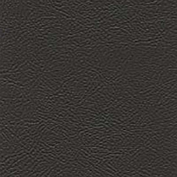 Economy Vinyl Midnight Black L7170 - Automotive Specials
