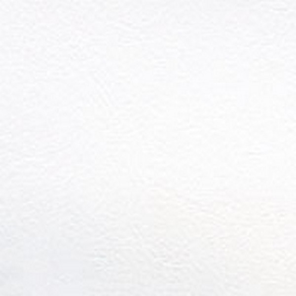 Economy Vinyl White - Automotive Specials