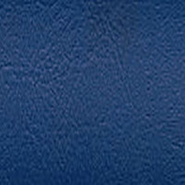 Economy Vinyl Pacific Blue - Automotive Specials