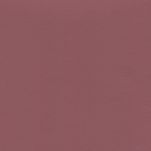 Independence Tea Rose - Vinyl