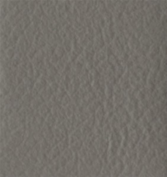 Valencia Greige Toyota - OEM Leather