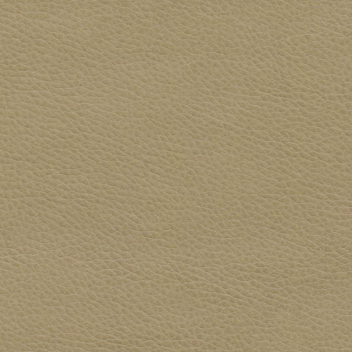 Ultrafabrics Montage Alpaca - Ultrafabrics Collection Automotive