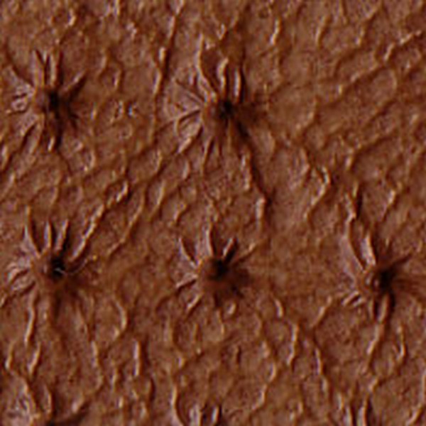Vinyl Cognac Melrose V7303 - OEM Vinyl