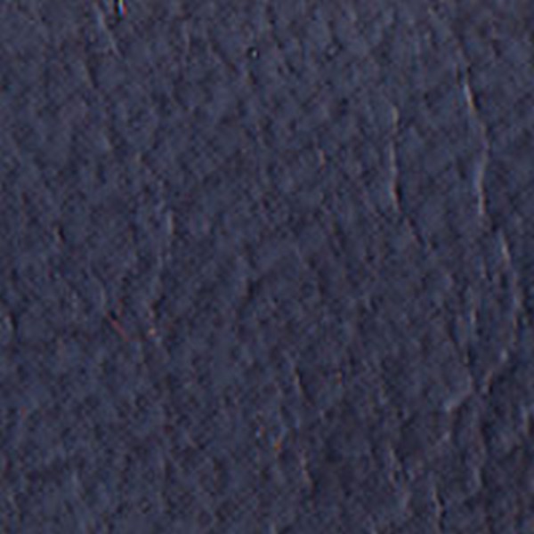 Vinyl Blue Saginaw Navistar - OEM Vinyl