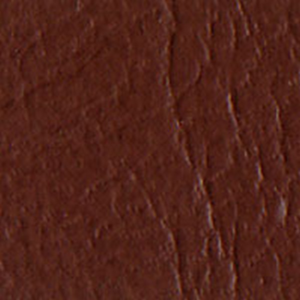 Vinyl Brown Saginaw Navistar - OEM Vinyl