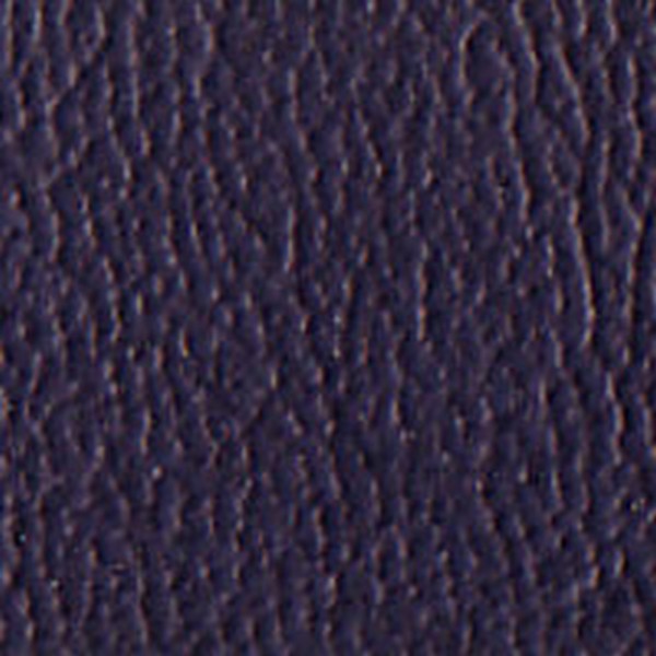 Vinyl Blue LT Pacifica - OEM Vinyl