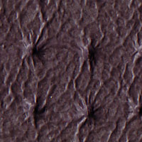 Vinyl Grey Dk Melrose V6295 - OEM Vinyl
