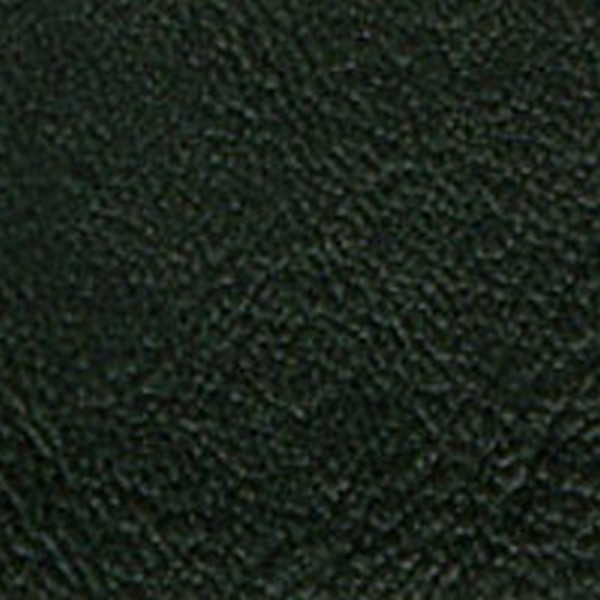 Sturdy Pacifica Black - OEM Vinyl