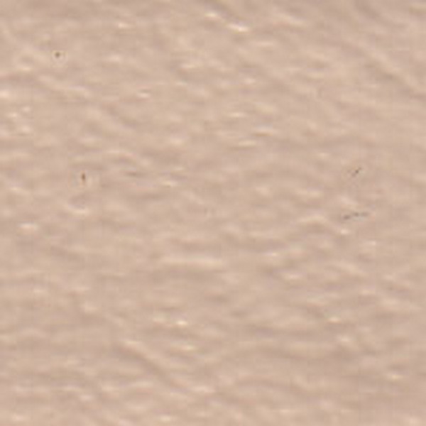 Vinyl Ivory Buckskin V1408 - OEM Vinyl