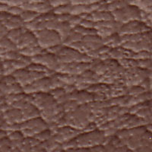 Vinyl Md Priaire Tan Warwick - OEM Vinyl