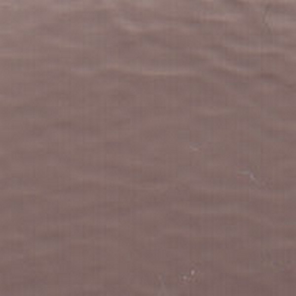 Vinyl LT Neutral Caprice - OEM Vinyl