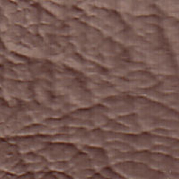 Warwick Md Parchment  V7619 - OEM Vinyl