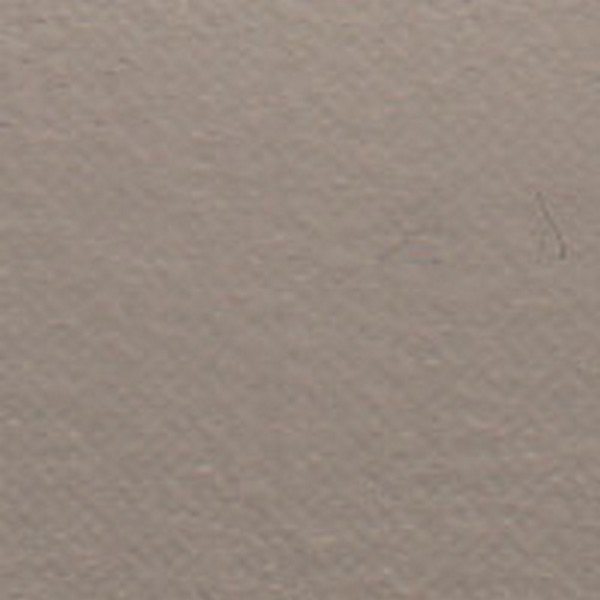 Doeskin Shale  V6464 - OEM Vinyl