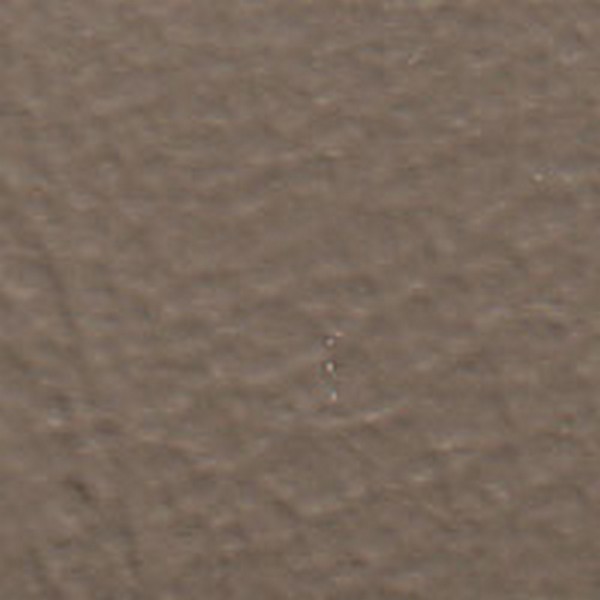 145 Grain Beige Isuzu - OEM Vinyl