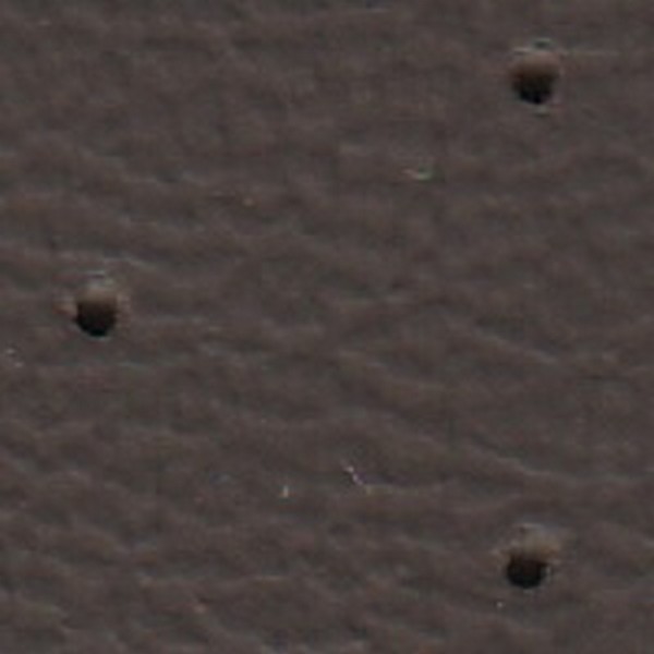 Caprice Perf Dk Taupe - OEM Vinyl