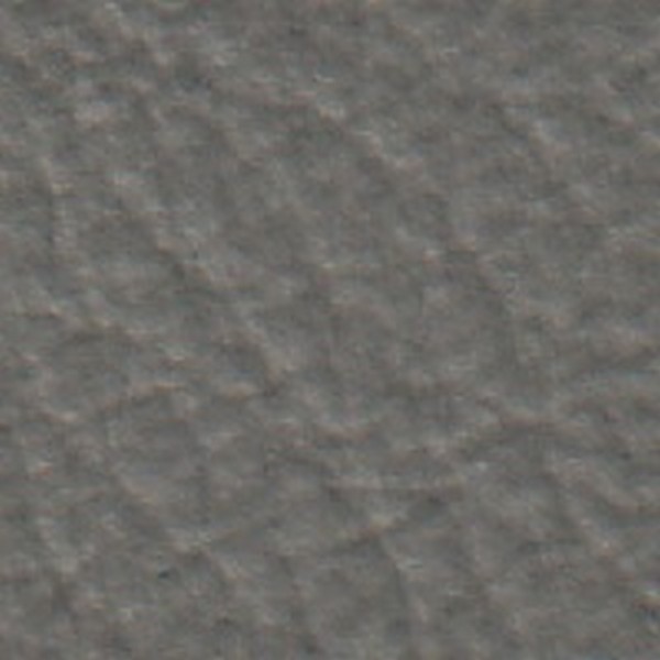 Rawhide Md Grey V6558 - OEM Vinyl