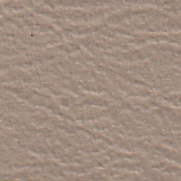 Cara Shale - OEM Vinyl