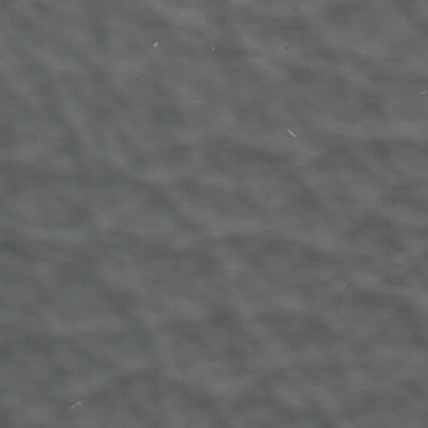 Verona Md Dove    V6666 - All