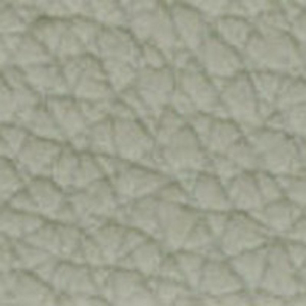 Natural Grain Beige - OEM Vinyl