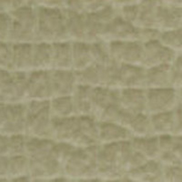 Meghan Almond    V7849 - OEM Vinyl