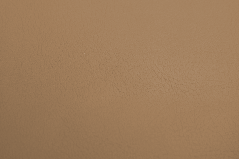 Camino Almond Nissan - OEM Vinyl