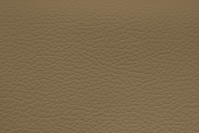 Santa Cruz Dune Beige Ford 2015 - OEM Vinyl