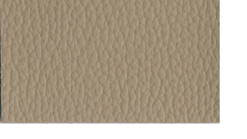 Salerno MD LT Camel Ford - OEM Vinyl