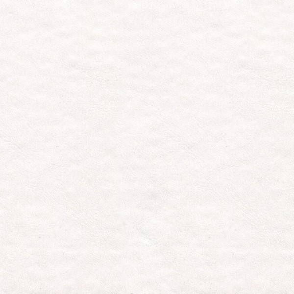Lunar Sea Salt - Marine Vinyl & Boat Upholstery Fabric