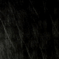 Vicar Marine Wallaby Black - Vicar Brand Vinyl