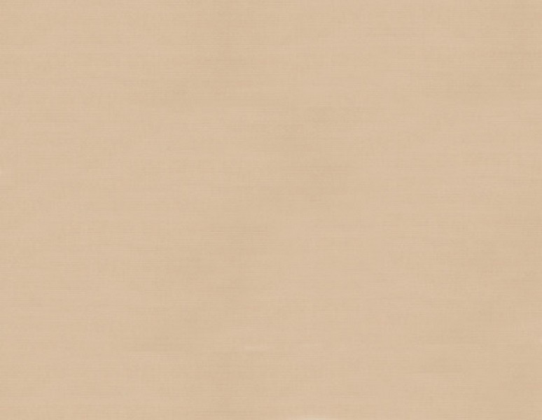 Tempotest Facing 2in Beige 52 - Binding & Welts