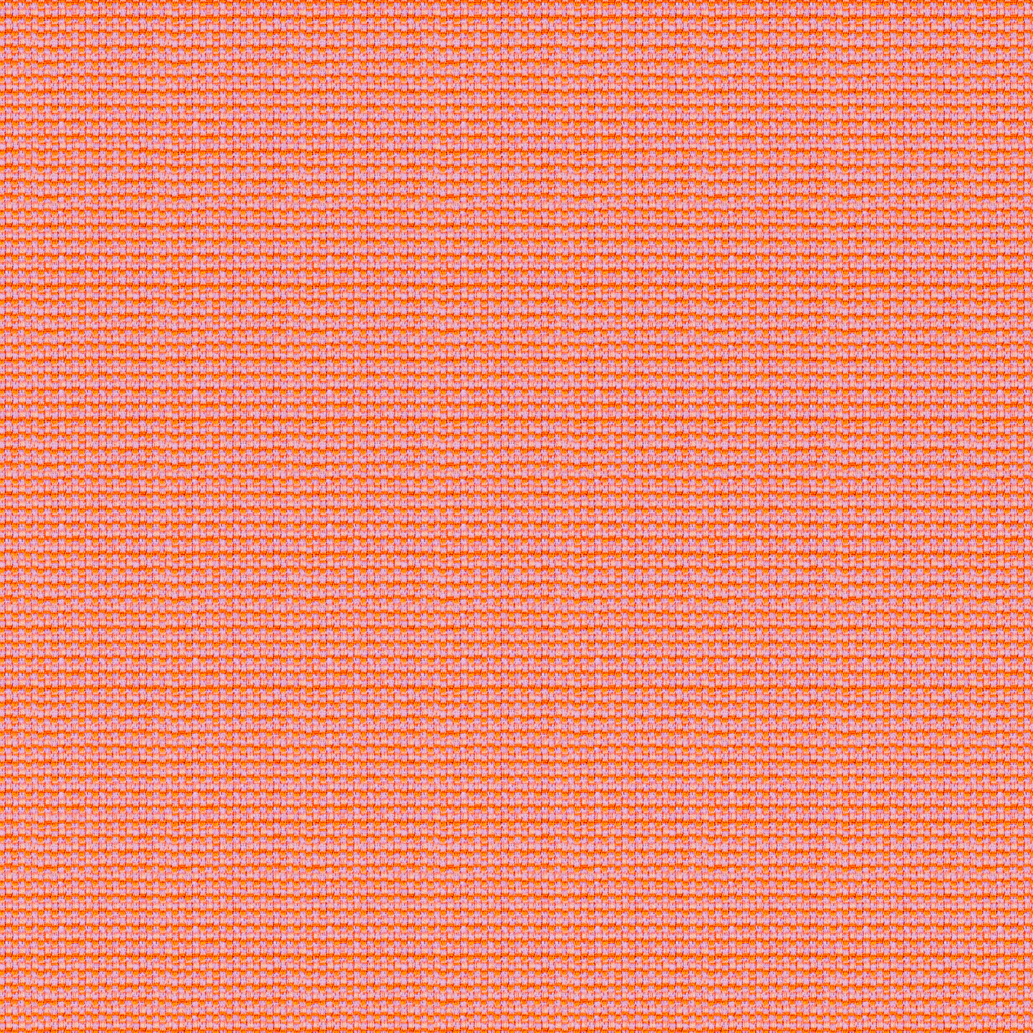 Tempotest Home Maestro Bloom - Tempotest Home Fabrics