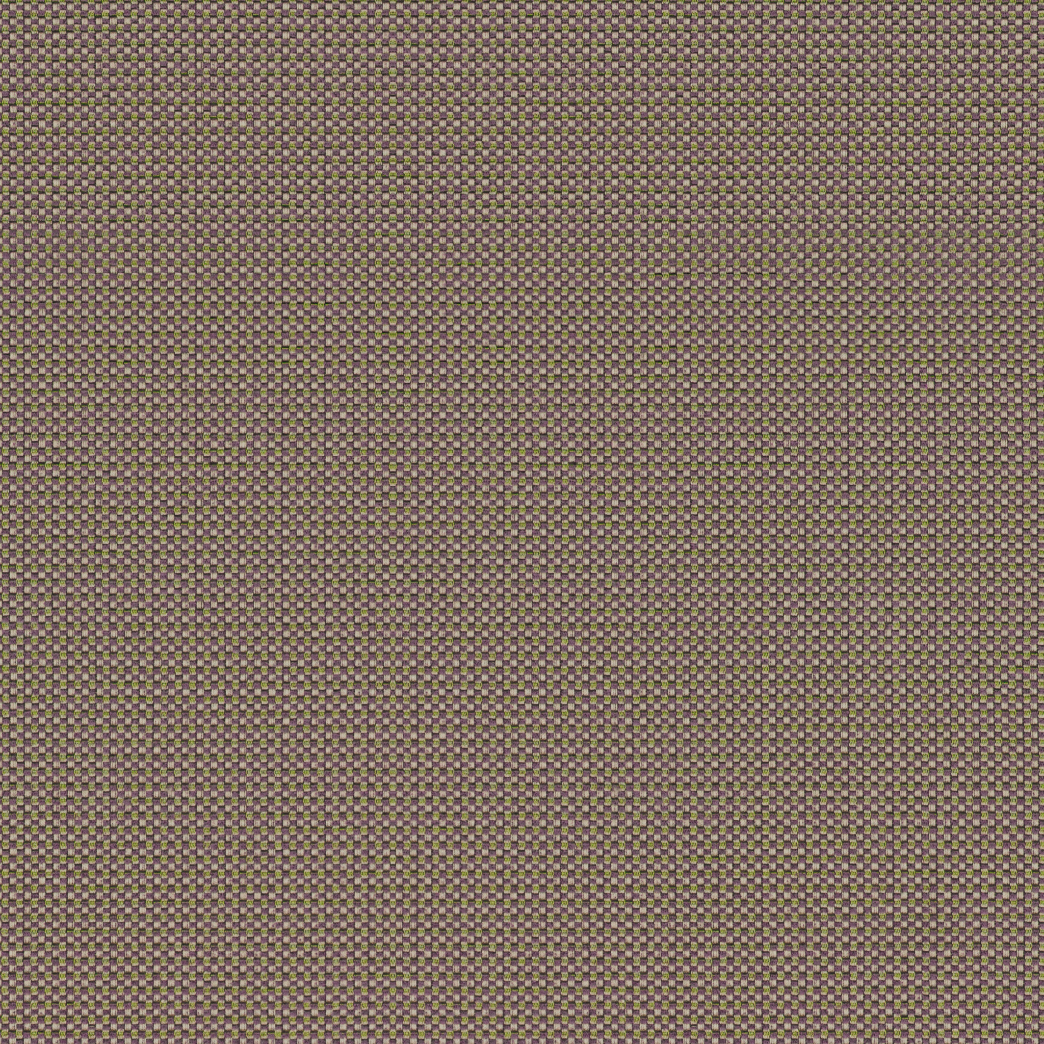 Tempotest Home Maestro Tundra - Tempotest Home Fabrics