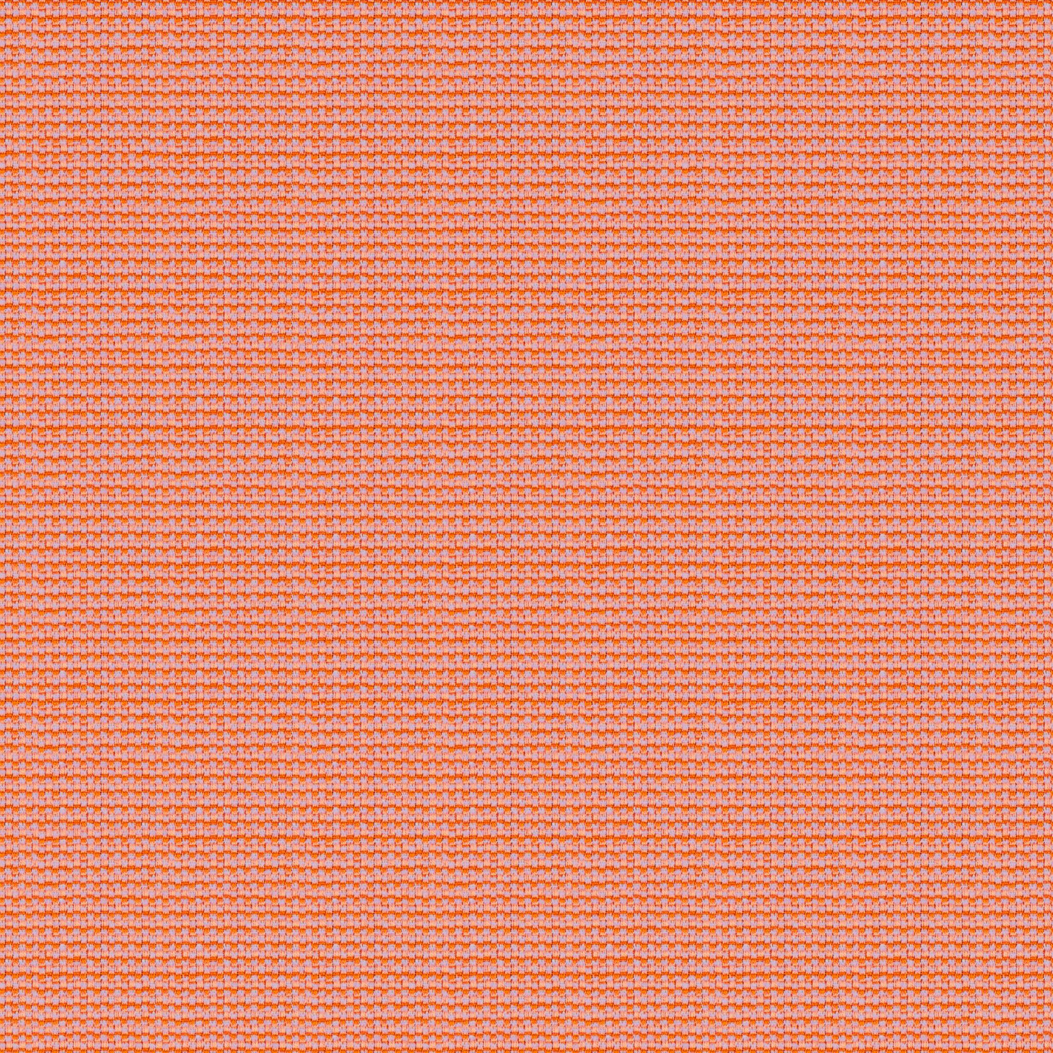 Tempotest Home Maestro Blush - Tempotest Home Fabrics