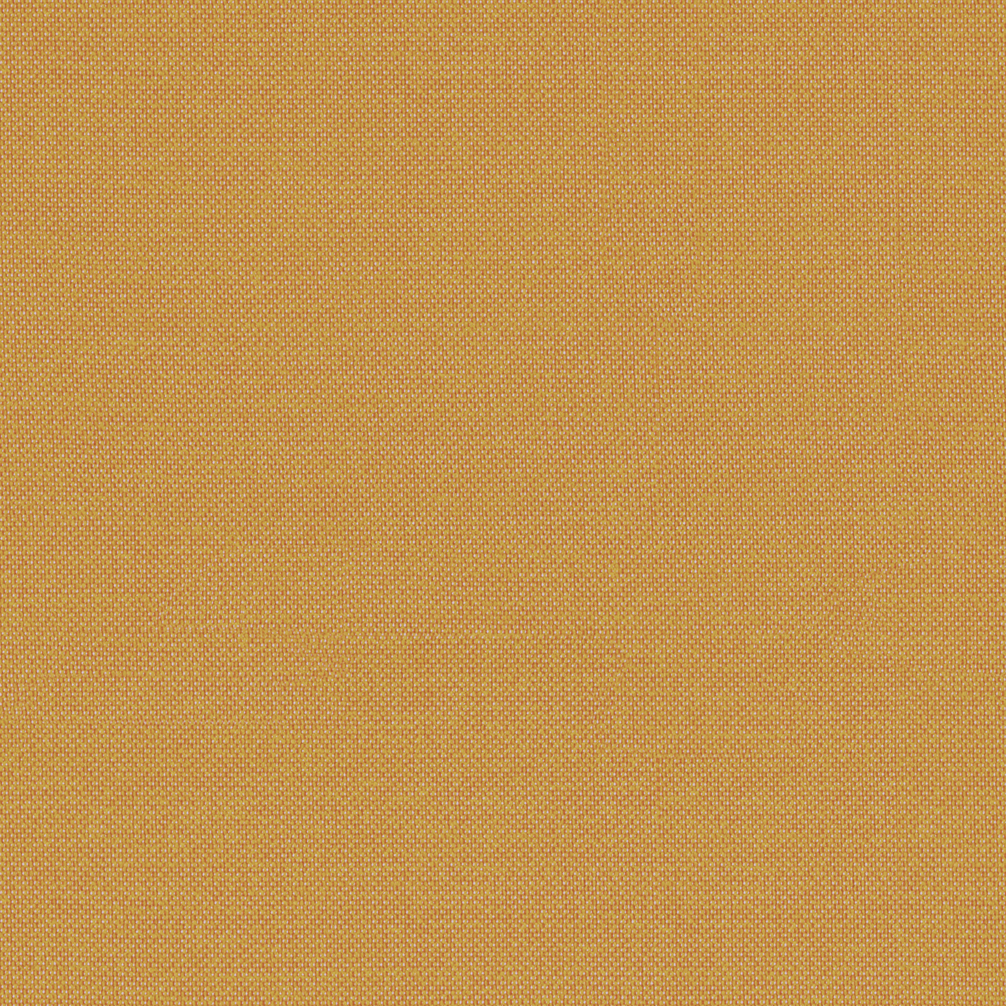 Tempotest Home Sempre Golden - Tempotest Home Fabrics