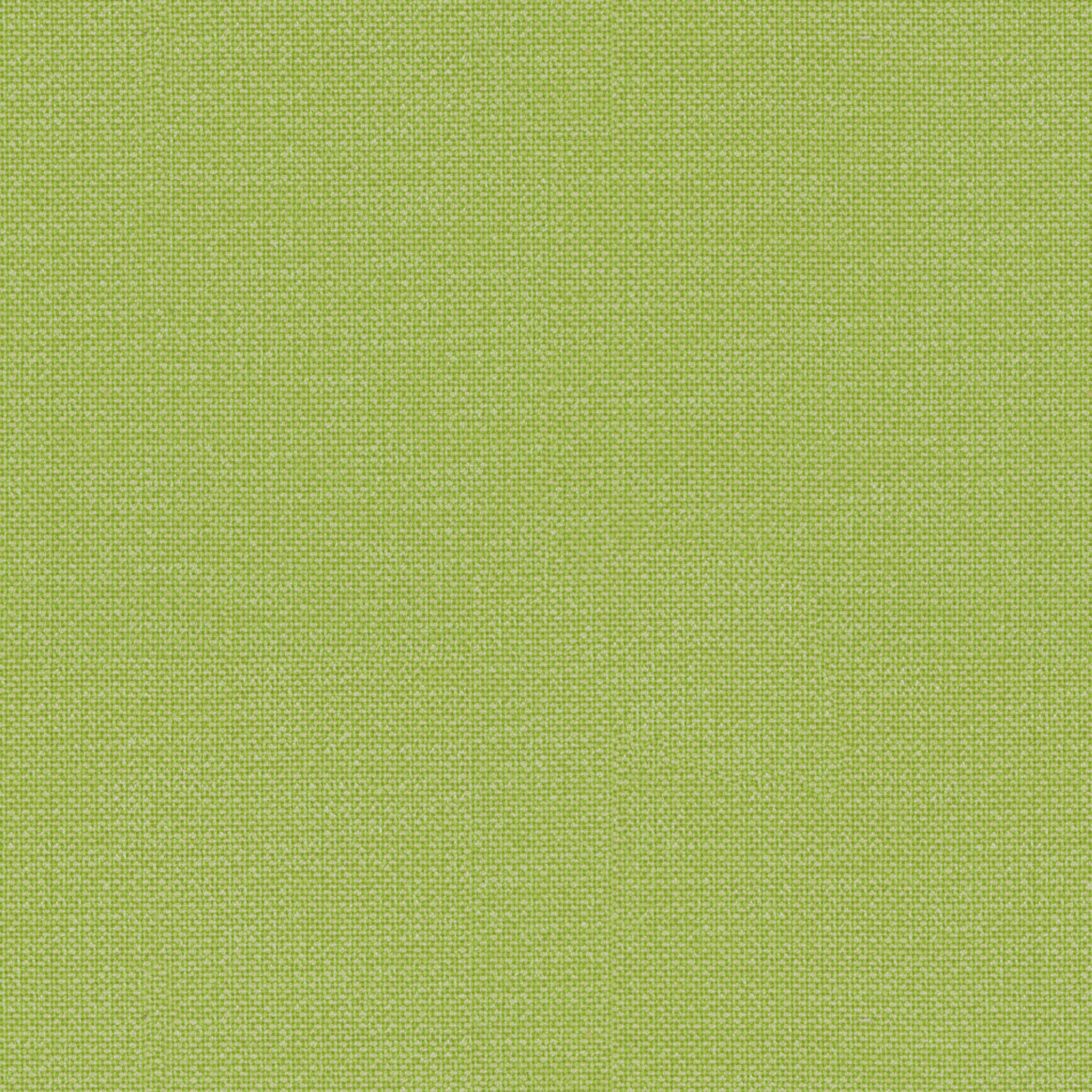 Tempotest Home Sempre Lime - Tempotest Home Fabrics