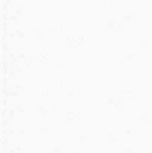 Top Notch 9 White - All Topping Fabric
