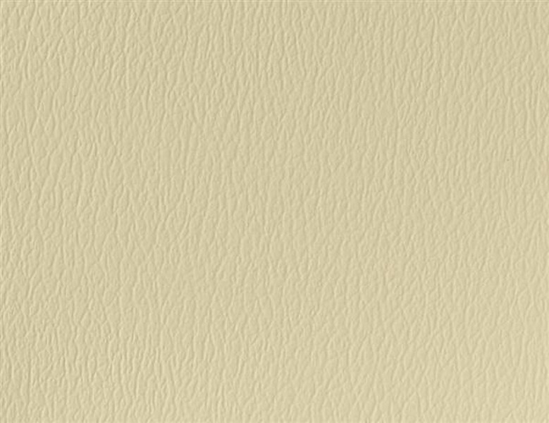 Spirit Millennium Parchment - Vinyl