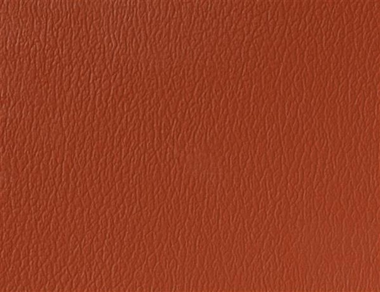 Spirit Millennium Cinnabar - Vinyl