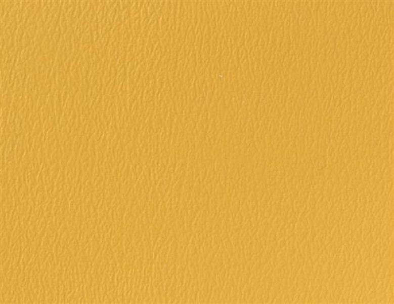 Spirit Millennium Golden Corn - Vinyl