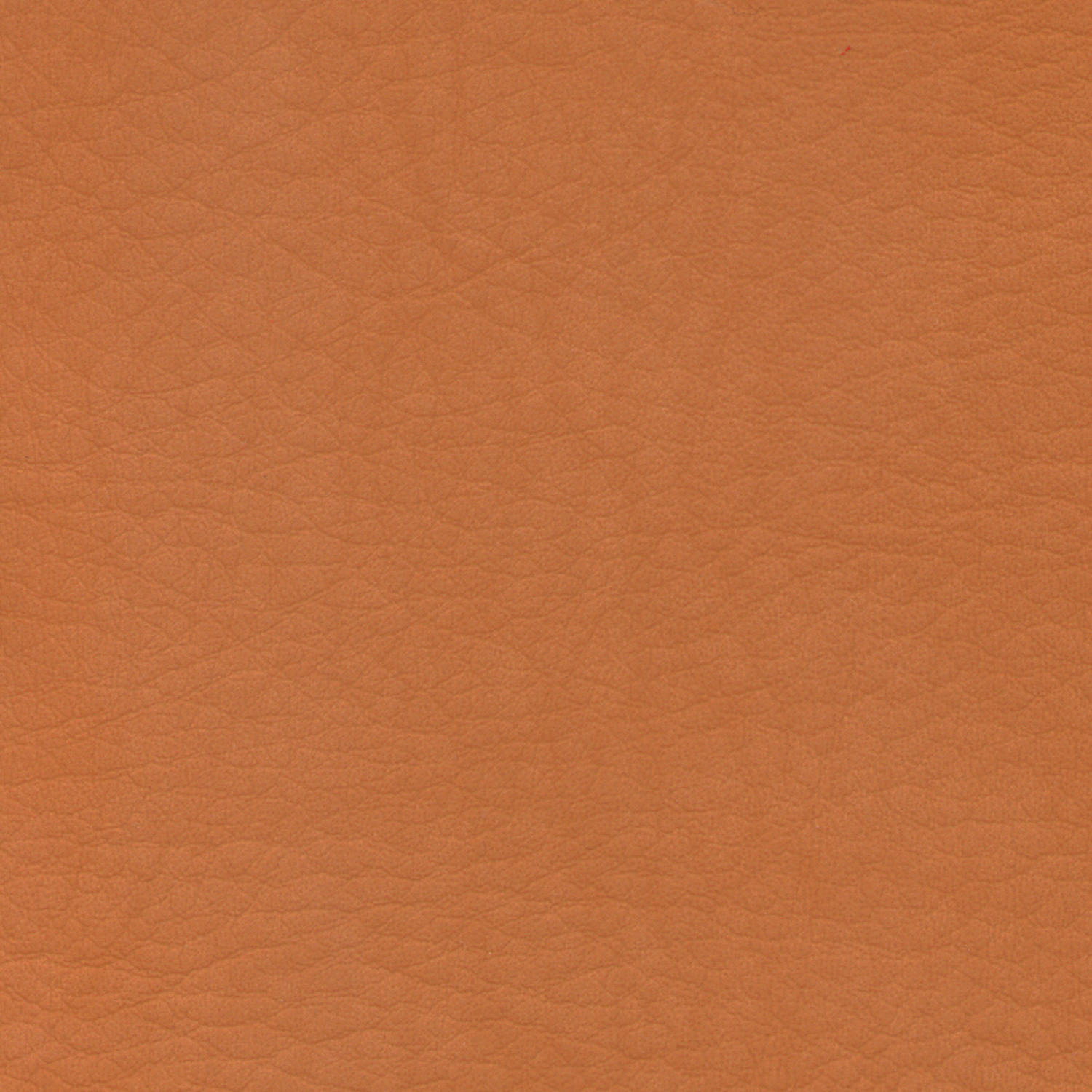 Whisper Luggage - Vinyl