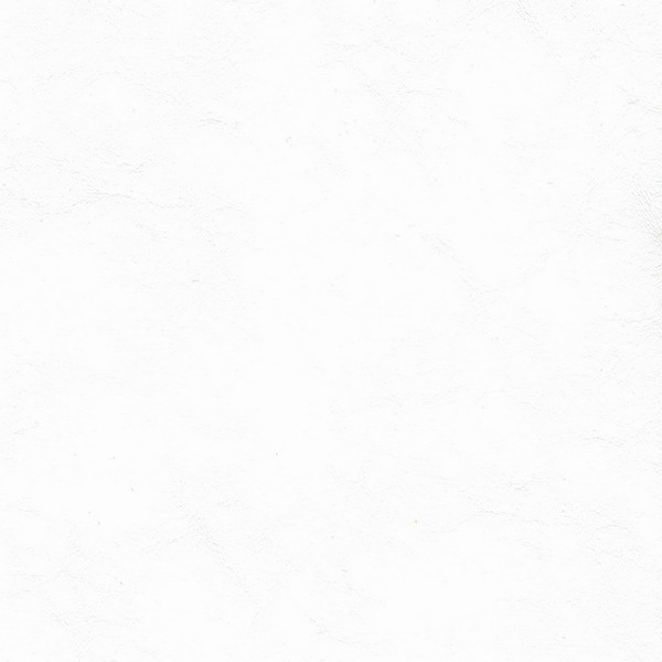 Zander Pure White - Marine Vinyl & Boat Upholstery Fabric