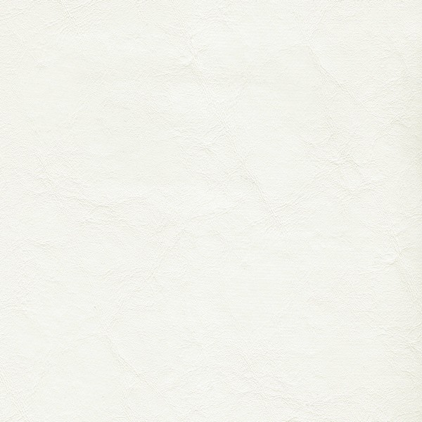Zander Brilliant White - Marine Vinyl & Boat Upholstery Fabric