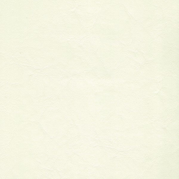 Zander Off White - Marine Vinyl & Boat Upholstery Fabric
