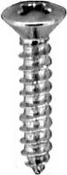 Phillips Oval Head Tap Screw #6 X 3/4 Ch - Fasteners