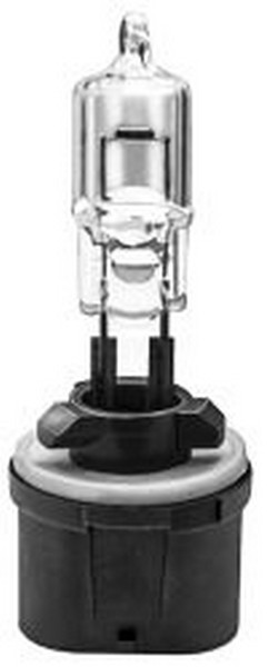 Halogen Bulb #885 - All