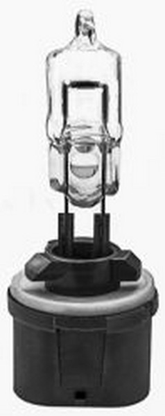 Halogen Bulb #893 - All