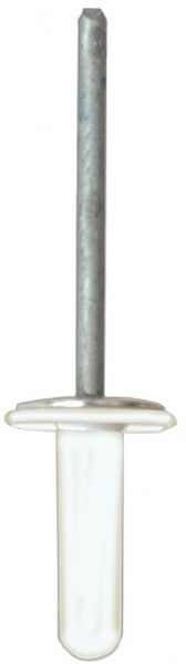 Lexus SpeciaLTy Rivet - All