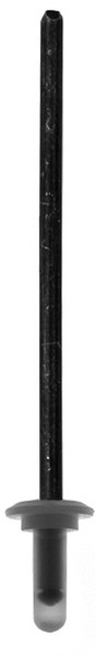Toyota SpeciaLTy Rivet - All